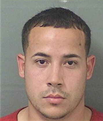 Dylan Cirillo, - Palm Beach County, FL 